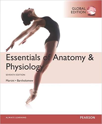 essentials of human anatomy and physiology 7th edition